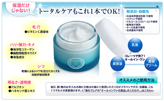 �C�̃u���A,W���C�X�`���[,�I�[���C������,�ێ�,