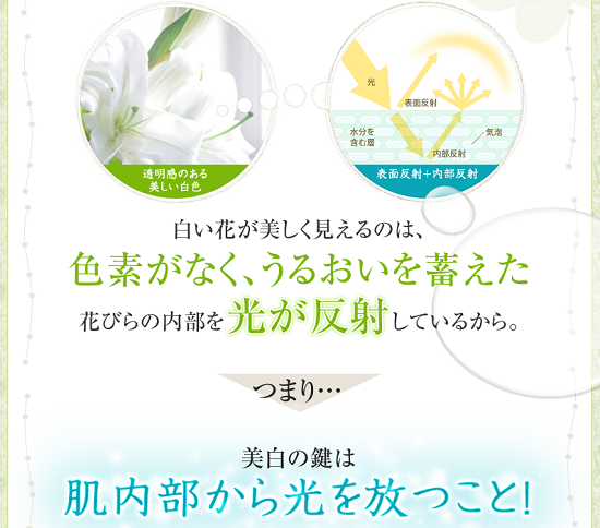 ���Ԗ؉�,���Ԕ������e�t,����΂Ȃ͂�����,